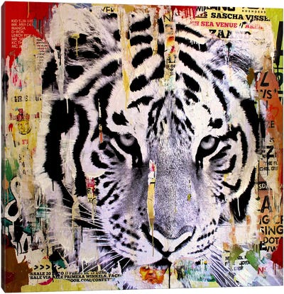 Tigerstyle II Canvas Art Print - Trendy