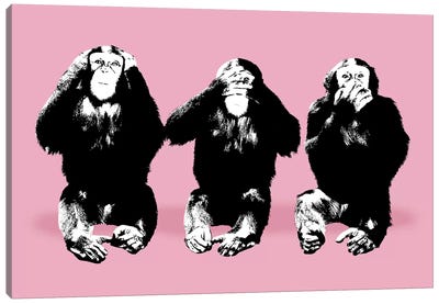 What You Looking At Canvas Art Print - Primate Art