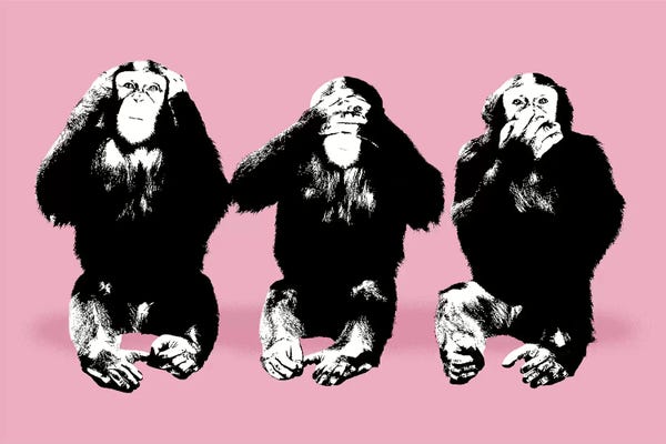 Primates: What You Looking At by Michiel Folkers