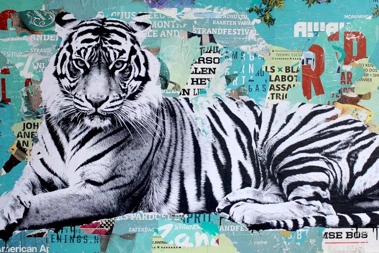 Tigerstyle III by Michiel Folkers wall art