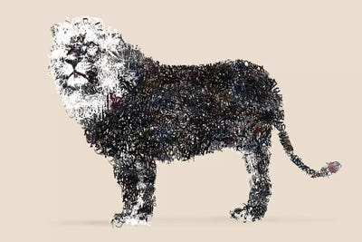 Streetcat by Michiel Folkers canvas print