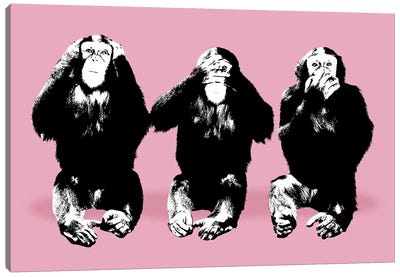 What You Looking At Canvas Art Print - Monkey Art