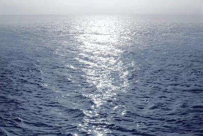 Open Sea I by Maggie Olsen canvas print