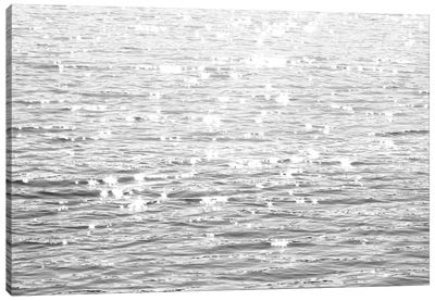 Sunlit Sea Black & White Canvas Art Print - Nature Close-Up Art