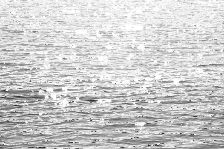 Sunlit Sea Black & White