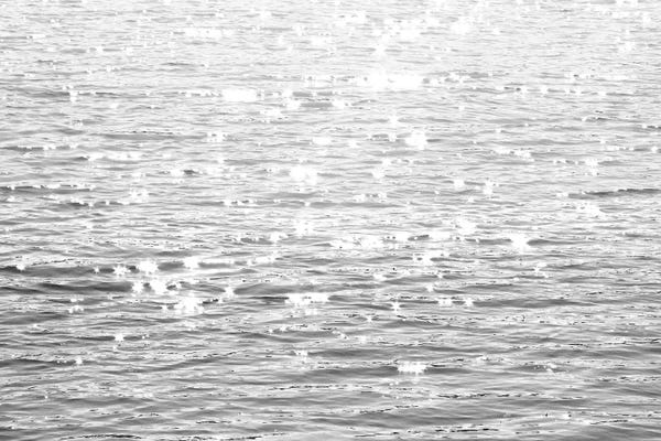 Nature Close-Ups: Sunlit Sea Black & White by Maggie Olsen