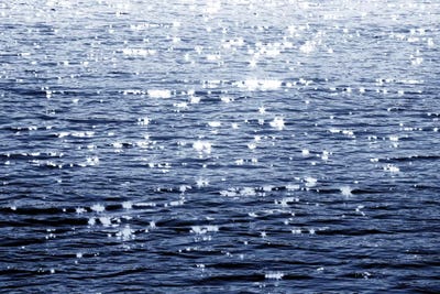 Sunlit Sea Indigo by Maggie Olsen canvas print