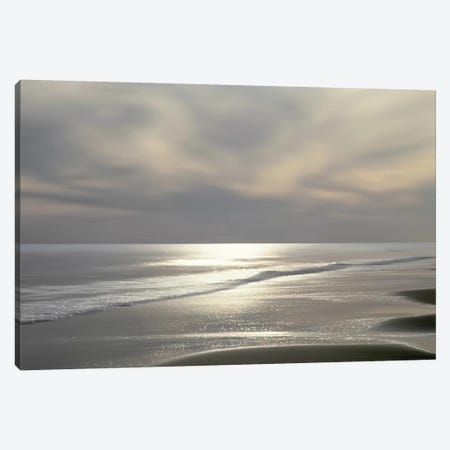 Silver Light Canvas Print #MGG8} by Maggie Olsen Canvas Wall Art