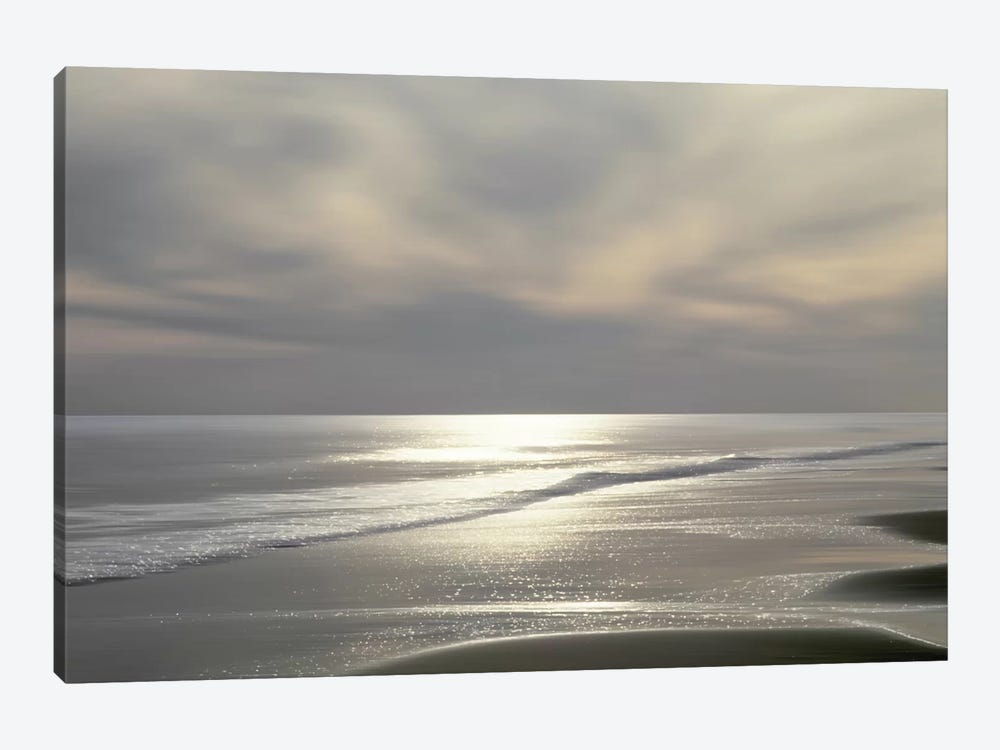 Silver Light by Maggie Olsen 1-piece Canvas Wall Art