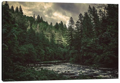 Pacific Northwest River And Trees Canvas Art Print - Forest Art