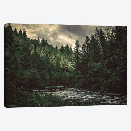 Pacific Northwest River And Trees Canvas Print #MGK103} by Nature Magick Canvas Print