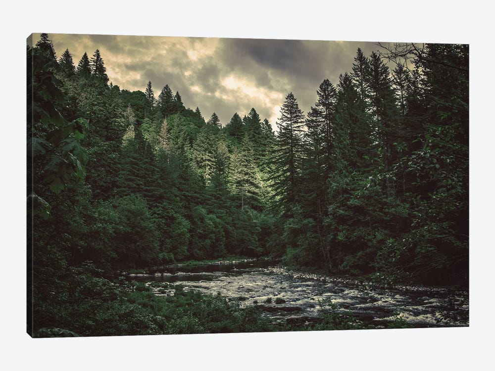Pacific Northwest River And Trees by Nature Magick 1-piece Canvas Artwork