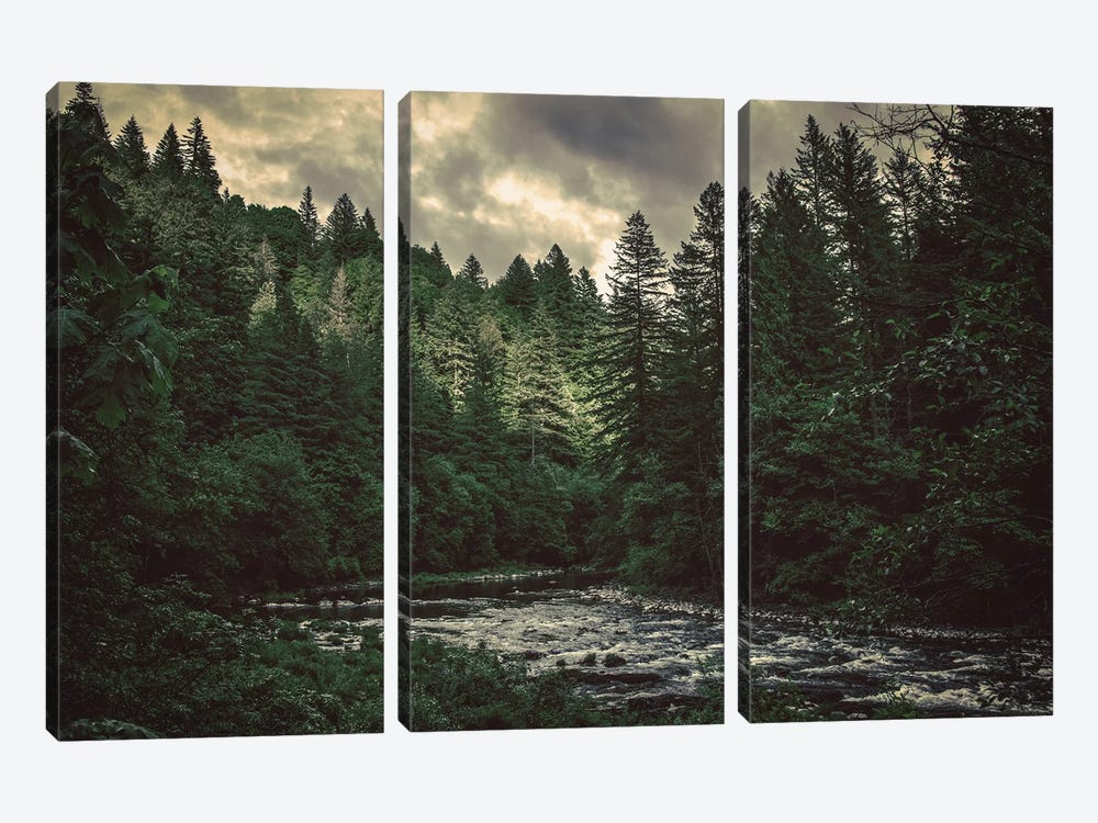 Pacific Northwest River And Trees by Nature Magick 3-piece Canvas Artwork