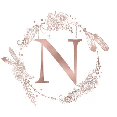 The Letter N by Nature Magick canvas print