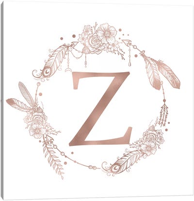 The Letter Z Canvas Art Print - Letter Z