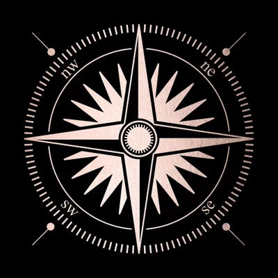 Rose Gold Pink Compass by Nature Magick canvas print