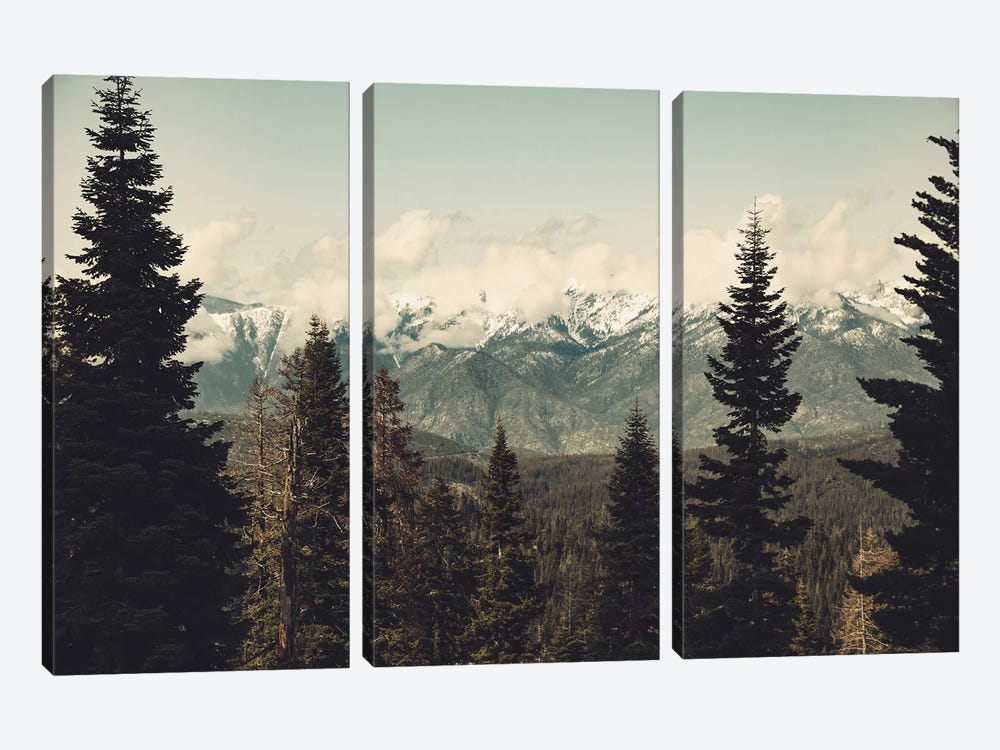 Snow Capped Sierra Mountains And Fir Trees In Sequoia National Park California by Nature Magick 3-piece Canvas Art Print