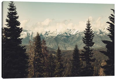 Snow Capped Sierra Mountains And Fir Trees In Sequoia National Park California Canvas Art Print - Mountain Art