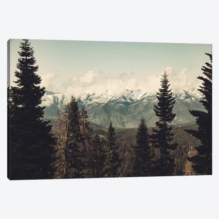 Snow Capped Sierra Mountains And Fir Trees In Sequoia National Park California Canvas Print #MGK146} by Nature Magick Canvas Art