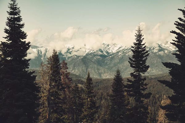 Nature Magick: Snow Capped Sierra Mountains And Fir Trees In Sequoia National Park California by Nature Magick