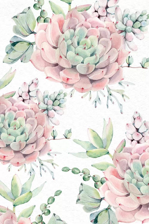 Succulents Southwestern Floral I