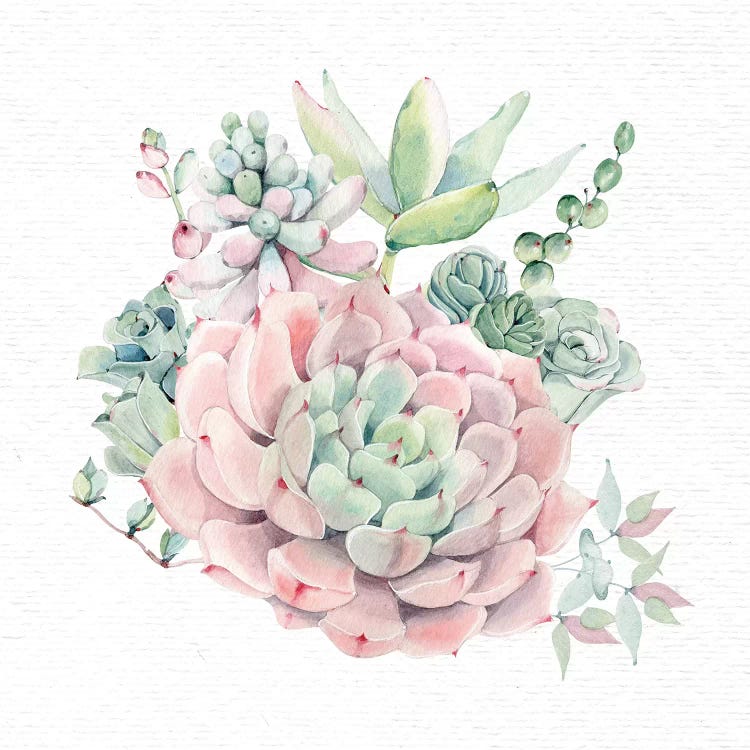 Succulents Southwestern Floral II