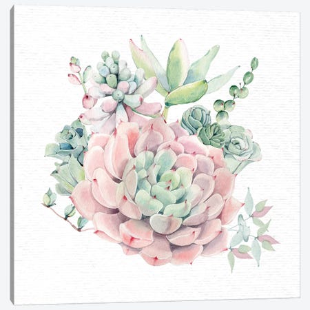 Succulents Southwestern Floral II Canvas Print #MGK157} by Nature Magick Canvas Art Print