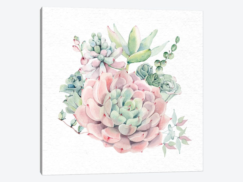 Succulents Southwestern Floral II by Nature Magick 1-piece Canvas Print