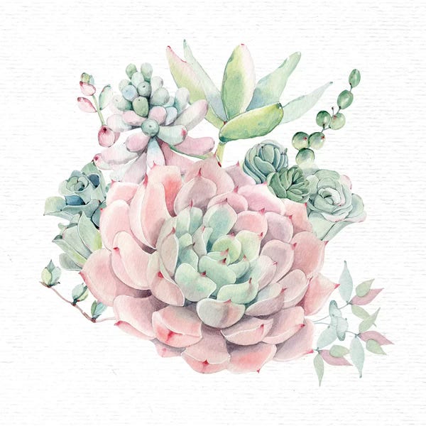 Nature Magick: Succulents Southwestern Floral II by Nature Magick