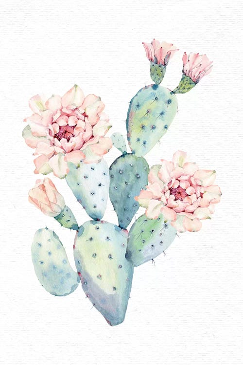 The Prettiest Cactus by Nature Magick wall art