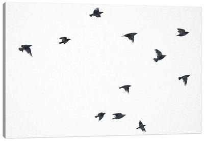 The Ravens Flying Canvas Art Print - White Art