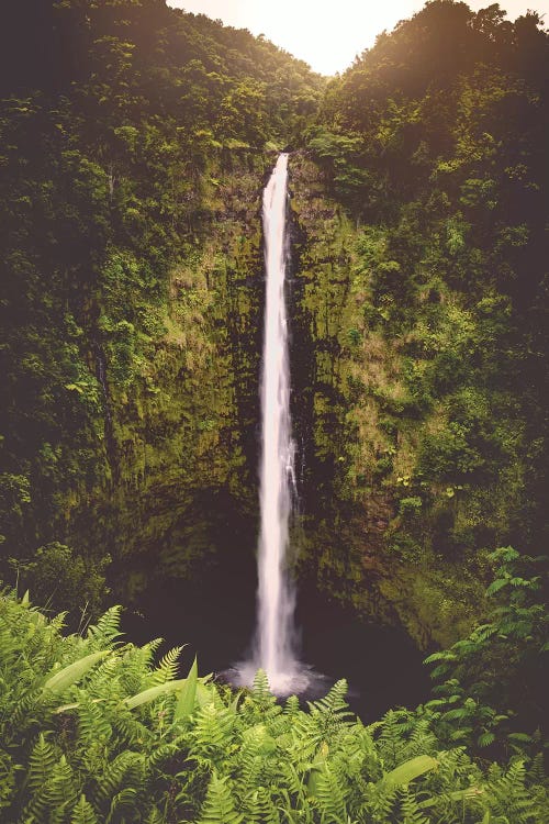 Tropical Island Waterfall Hawaii Akaka Falls