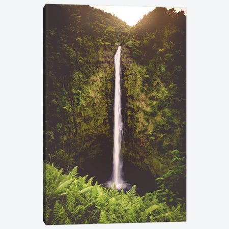 Tropical Island Waterfall Hawaii Akaka Falls Canvas Print #MGK172} by Nature Magick Canvas Artwork
