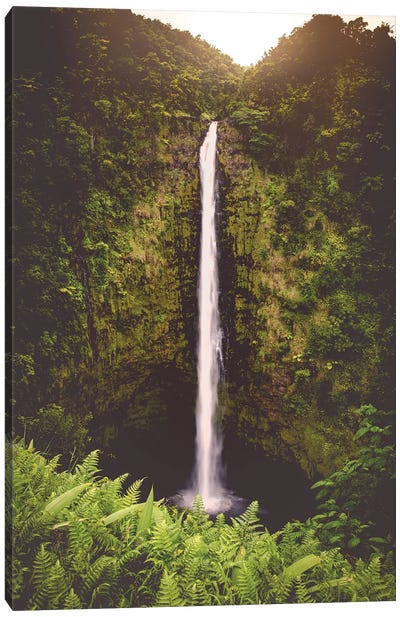 Tropical Island Waterfall Hawaii Akaka Falls Canvas Art Print - Trekking