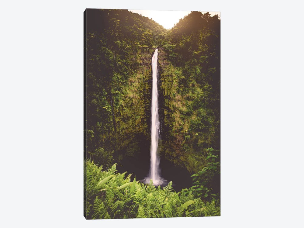 Tropical Island Waterfall Hawaii Akaka Falls by Nature Magick 1-piece Canvas Wall Art