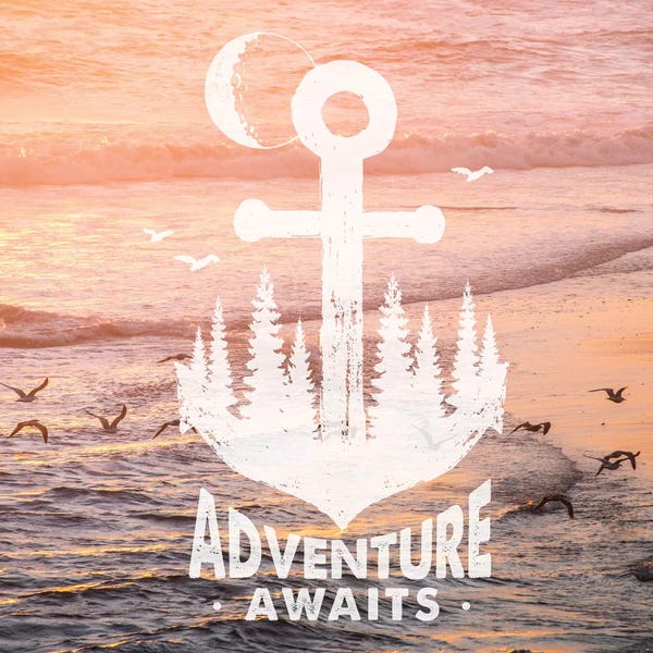 Nautical Décor: Adventure Awaits Anchor In Seagull Sunset by Nature Magick