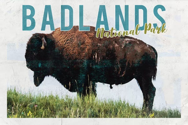 National Parks Travel Posters