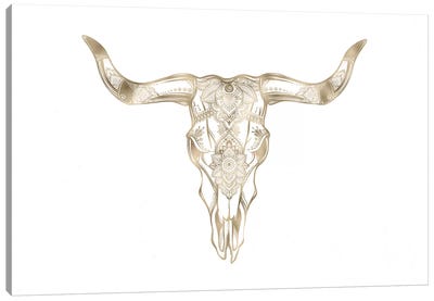 Bull Skull Canvas Art Print - Bull Art