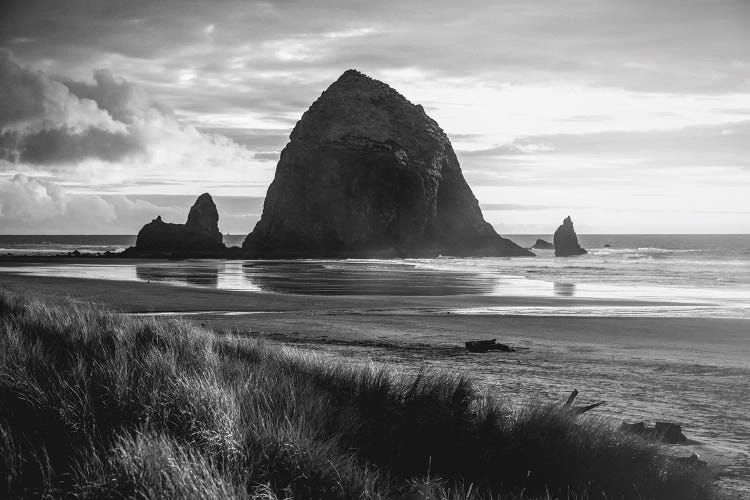 Cannon Beach Oregon Coast Black and White by Nature Magick wall art