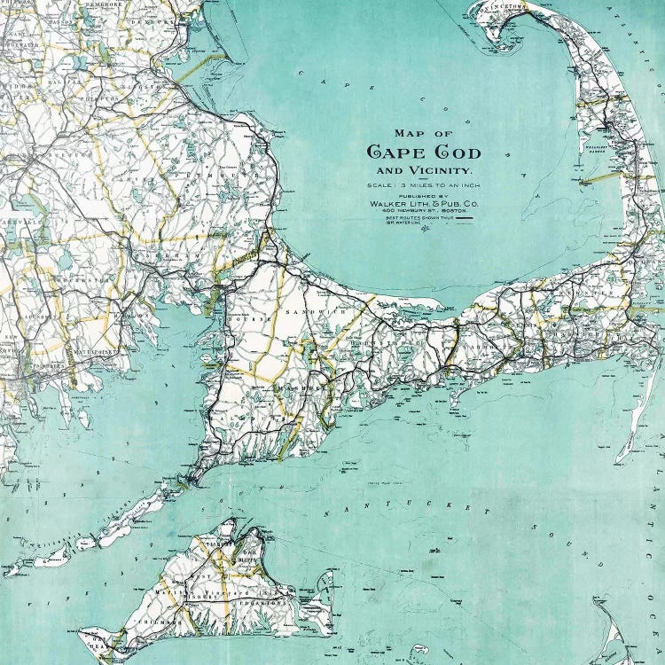 Cape Cod and Vicinity Map by Nature Magick wall art