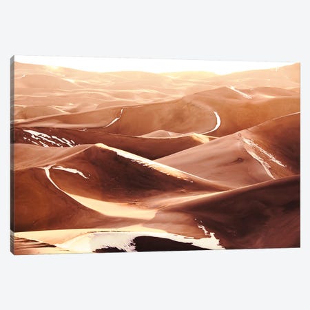 Desert Sand Dunes Vintage Snow Capped National Park Canvas Print #MGK268} by Nature Magick Canvas Artwork