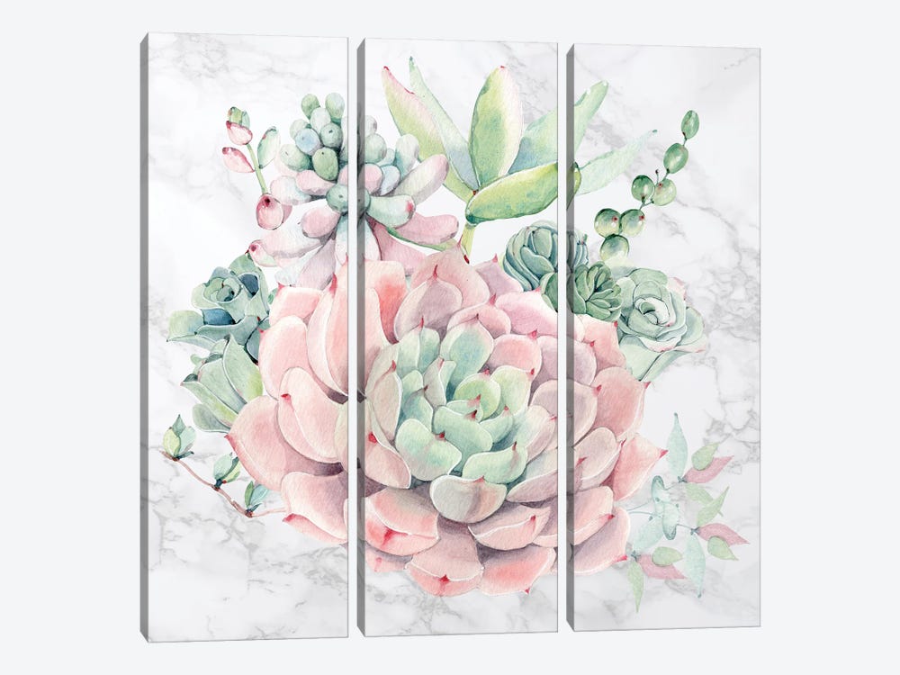 Desert Succulents Floral Watercolor on Marble by Nature Magick 3-piece Canvas Art