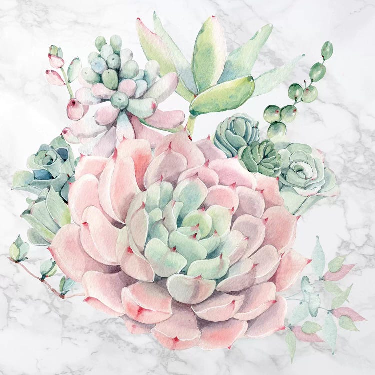 Desert Succulents Floral Watercolor on Marble