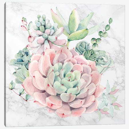 Desert Succulents Floral Watercolor on Marble Canvas Print #MGK269} by Nature Magick Canvas Art