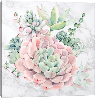 Desert Succulents Floral Watercolor on Marble Canvas Art Print - Nature Magick