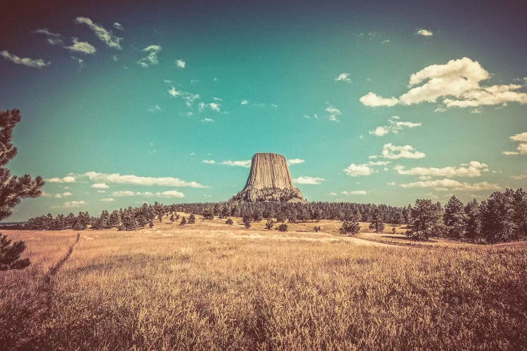 Devils Tower National Monument Vintage Turquoise Adventure by Nature Magick wall art