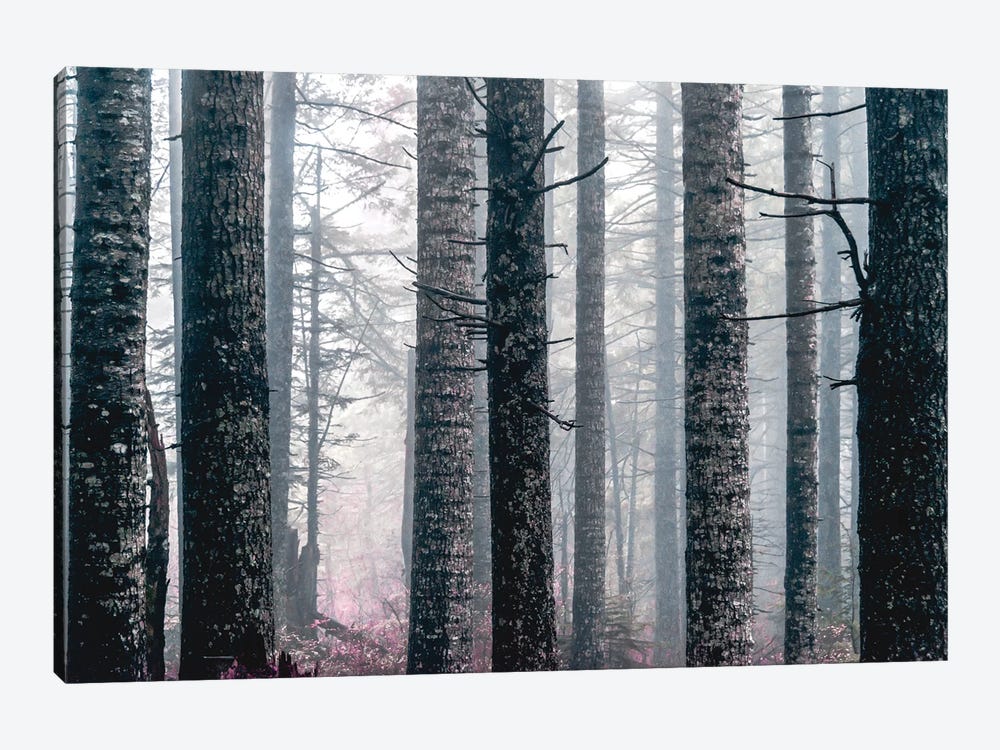Foggy Forest Trees Vintage Fall Woods by Nature Magick 1-piece Art Print