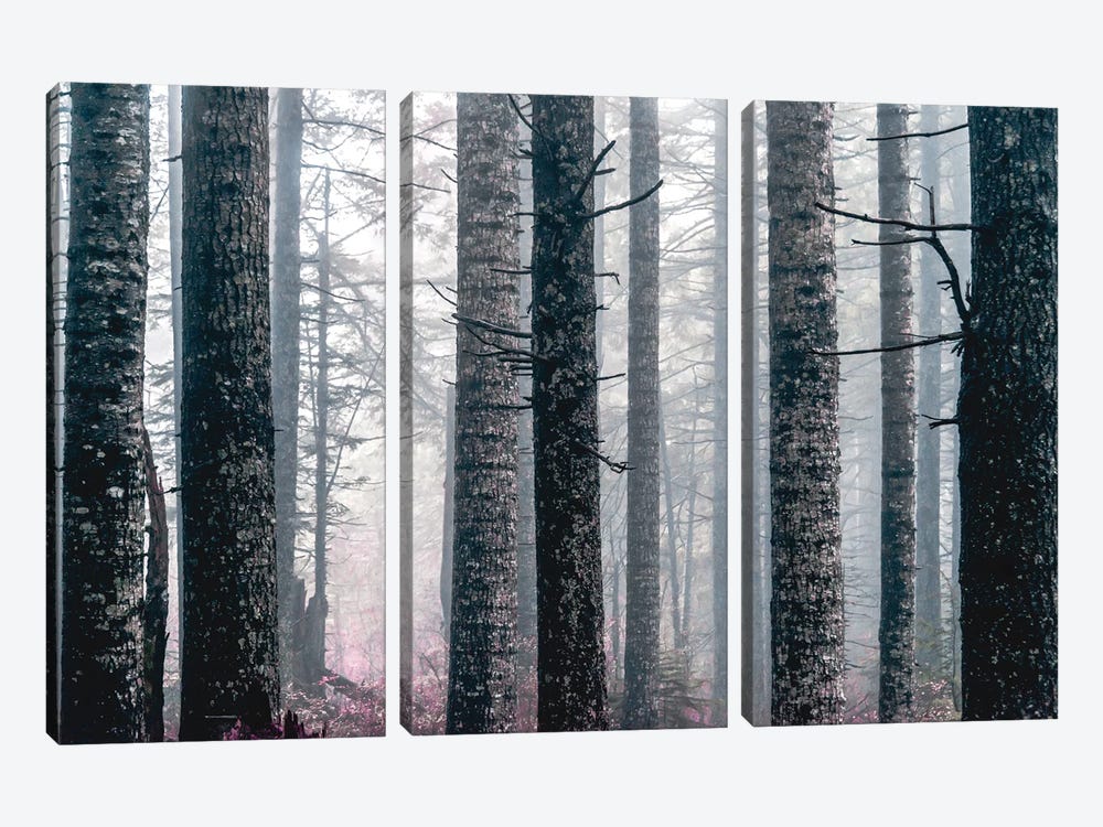 Foggy Forest Trees Vintage Fall Woods by Nature Magick 3-piece Canvas Print