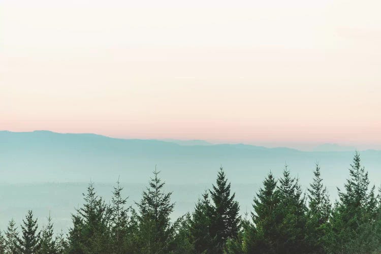 Forest Sunset Pink Sky Mountain Fog