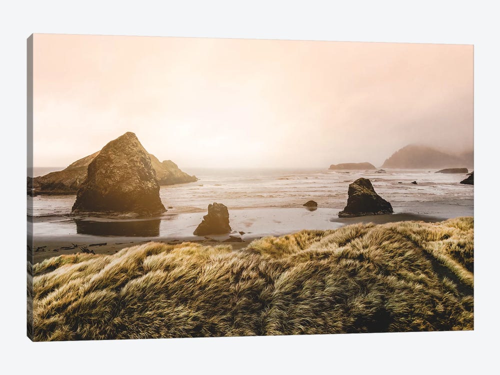 Grassy Dunes Pacific Coast Beach by Nature Magick 1-piece Canvas Wall Art